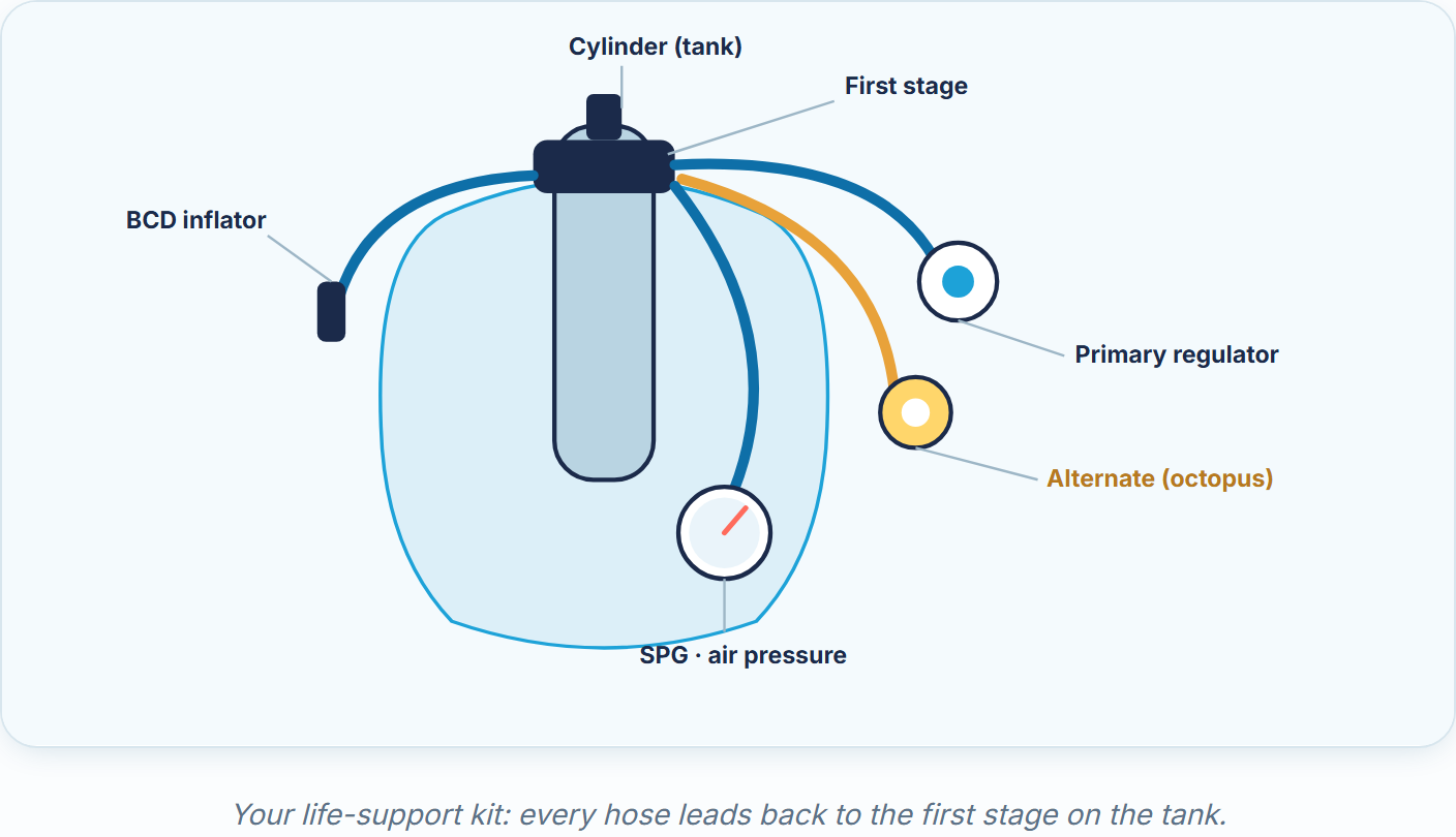 Original diagrams, not stock clip-art